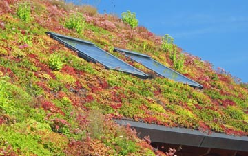 Barmby Moor living roof systems